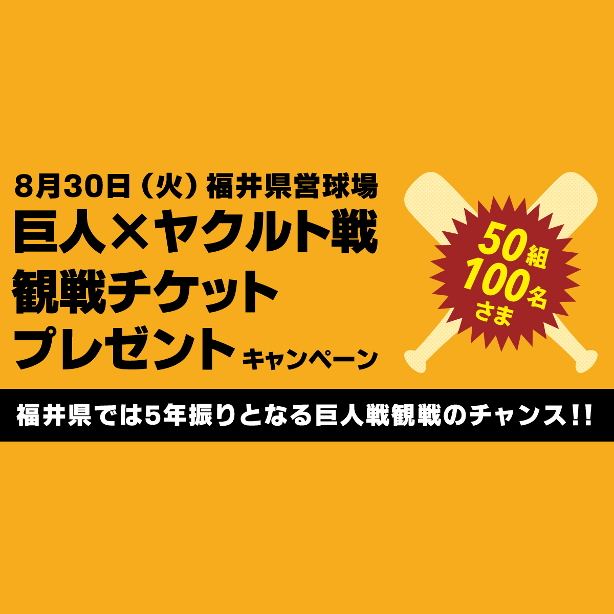 巨人戦チケット　福井県営球場 JERA セントラル・リーグ公式戦 2024 「巨人ーDeNA」 | 福井県スポーツ