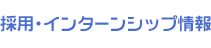 �̗p�E�C���^�[���V�b�v���