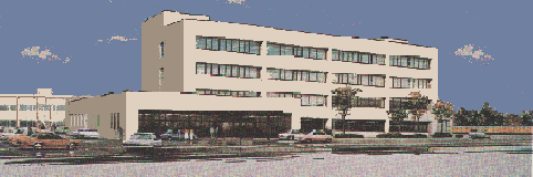�O��