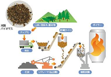 木質バイマス混焼発電の概要