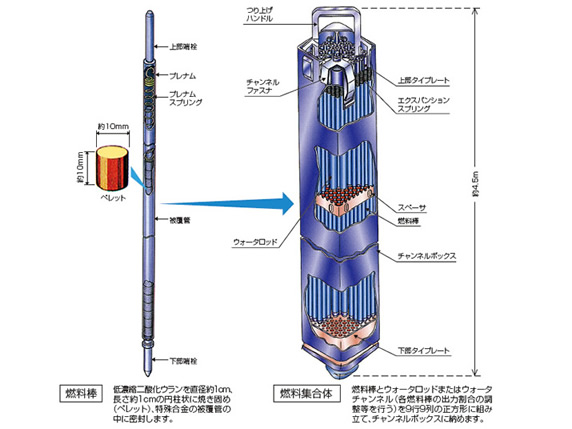 燃料棒、燃料集合体