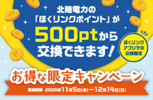 「ほくリンクポイント」が500ptから交換できます！