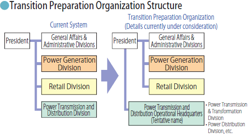 Transition Preparation Organization Structure