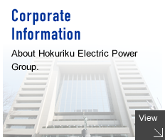 Corporate Information