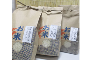 文殊のお米 福井県産コシヒカリ食べ比べセット
