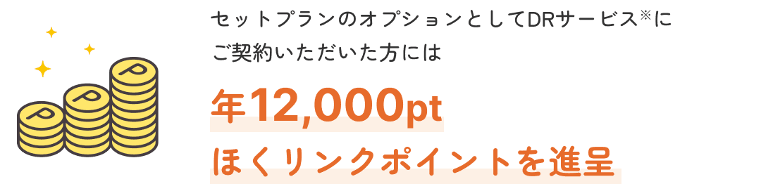 セットプランのオプションとしてDRサービス※にご契約いただいた方には 年12,000ptほくリンクポイントを進呈