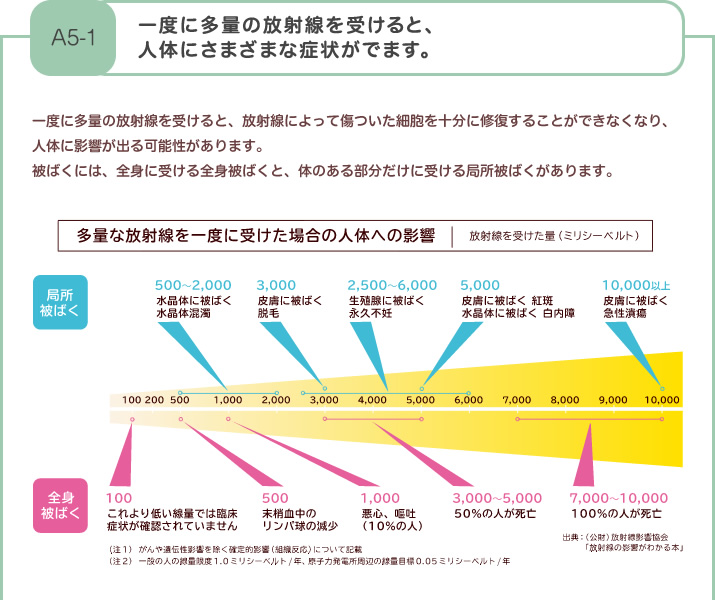 一度に多量の放射線を受けると、人体にさまざまな症状がでます