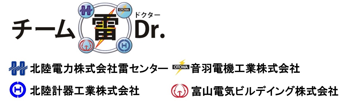 チーム雷Dr.（チームかみなりドクター）の体制