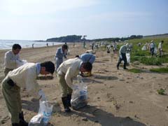 大島海岸清掃