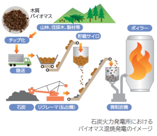 木質バイマス混焼発電の概要