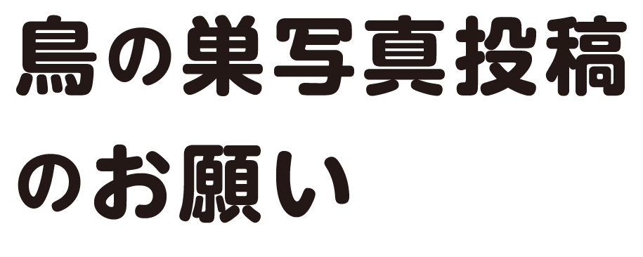 鳥の巣写真投稿のお願い