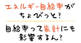 エネルギー自給率がちょびっと？ 自給率って家計にも影響するん？