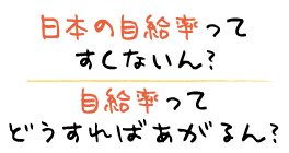 日本の自給率ってすくないん？ 自給率ってどうすればあがるん？