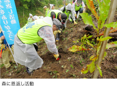 森に恩返し活動